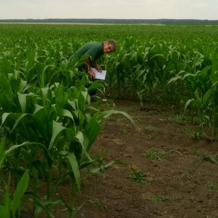 Nagyobb kép megtekintése